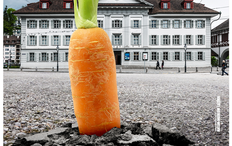 Natur-Museum Luzern: Ausstellung Boden