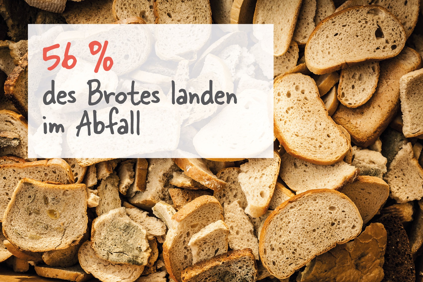 Food Waste Brot