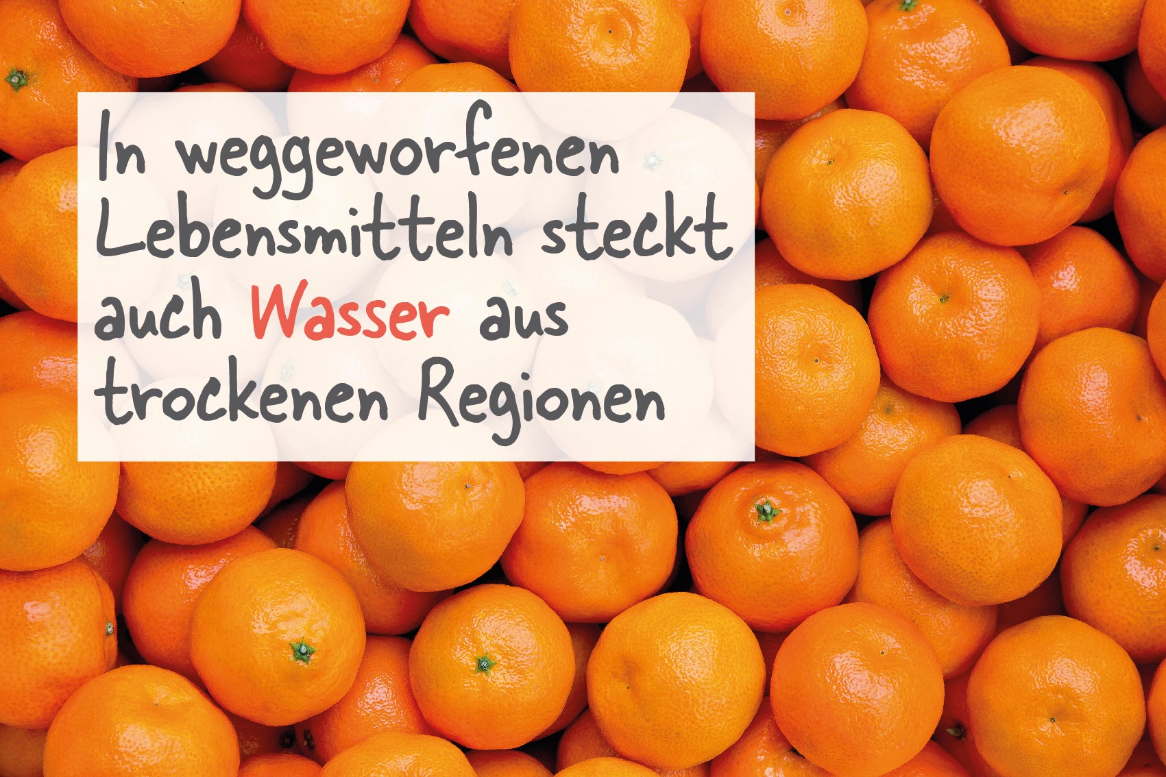 Food Waste