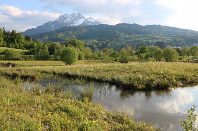 Naturerlebnisgebiet Allmend Luzern