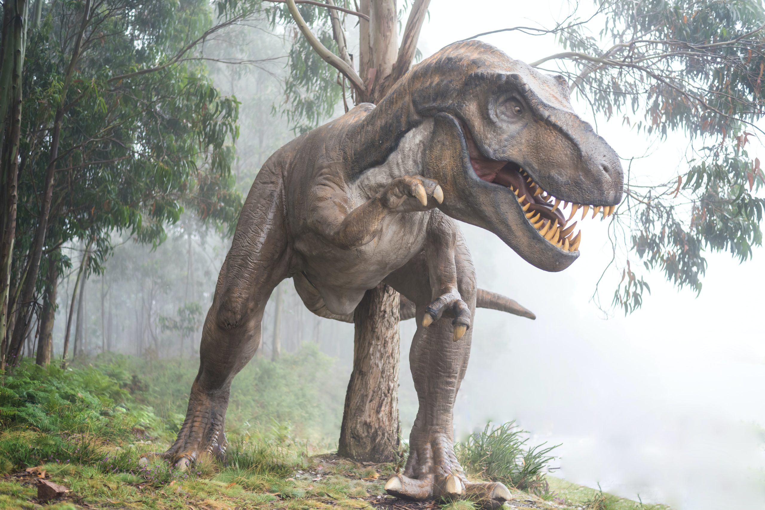Lockzaun: Best of „Thesaurus Rex“ by Umsicht