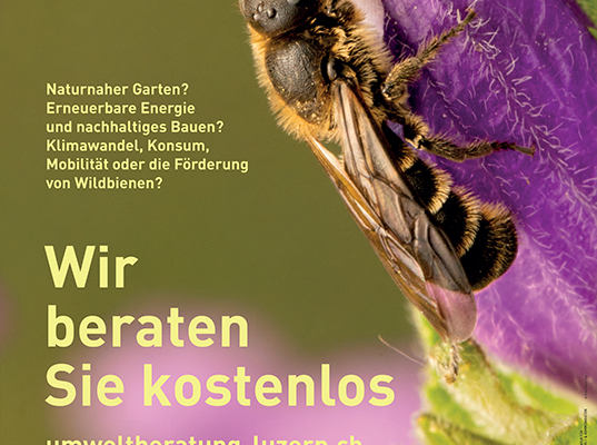 Plakat für Gemeinden: kostenlose Beratung_Umweltberatung Luzern