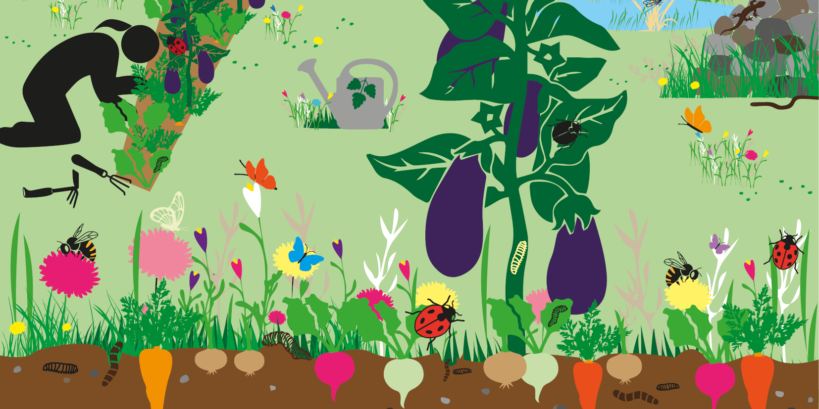 Pestizidkampagne Infografik: Garten und Grünflächen naturnah gestalten
