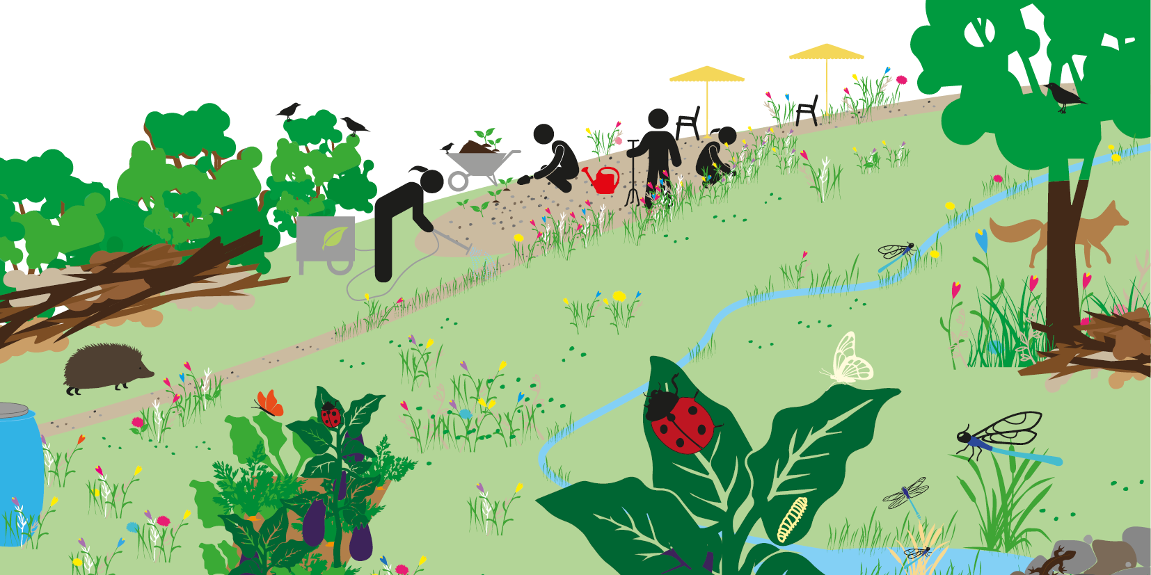 Infografik für Mitarbeitende Gemeinden: Grünflächen naturnah gestalten und pflegen