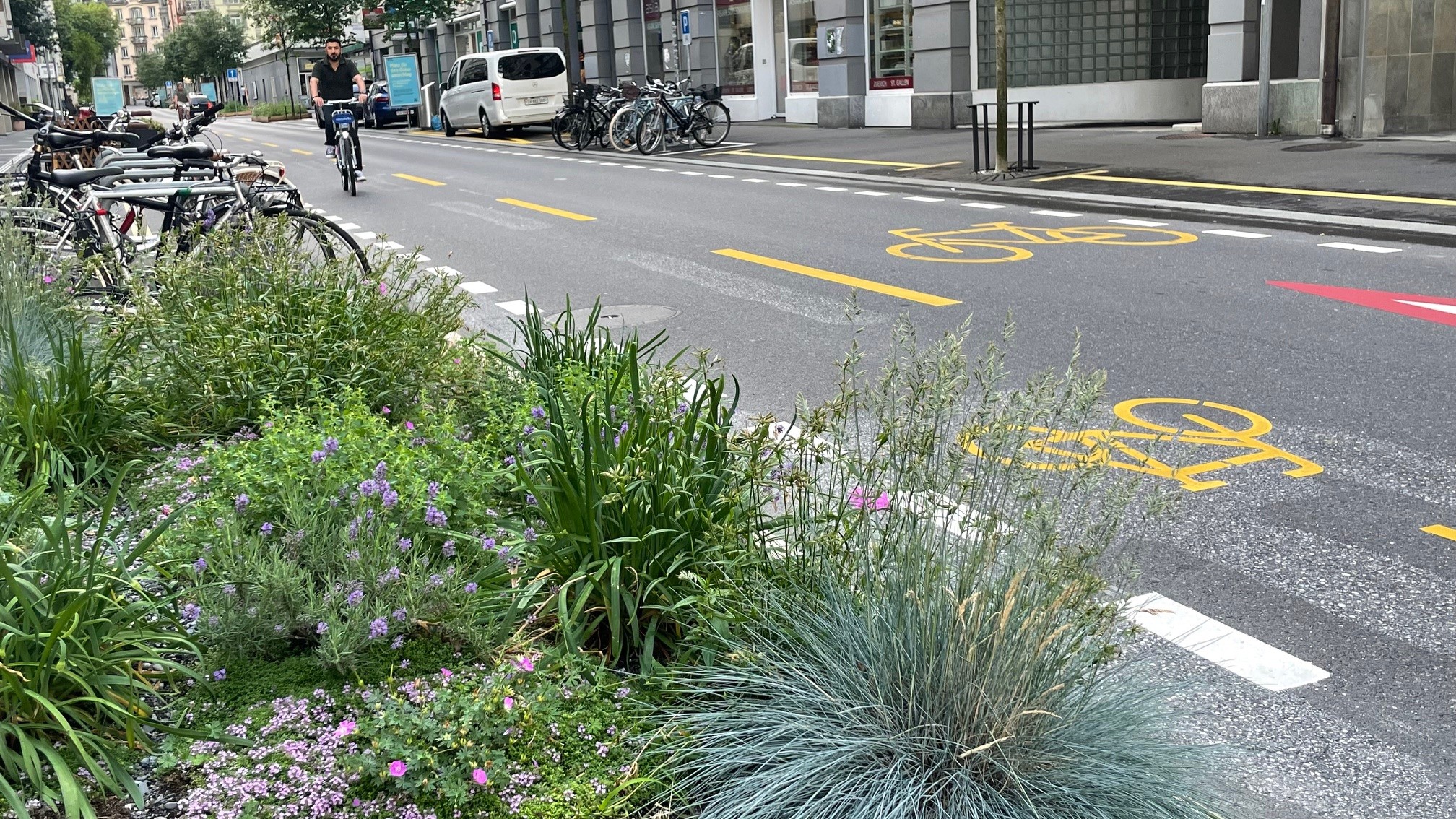 Test Winkelriedstrasse Luzern