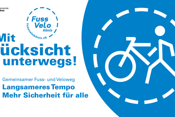 Fuss- und Veloverkehr E-Bike Rücksicht