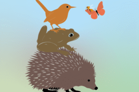 Ausstellung Biodiversität