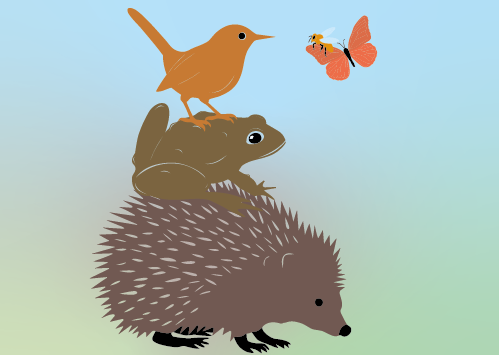 Ausstellung Biodiversität