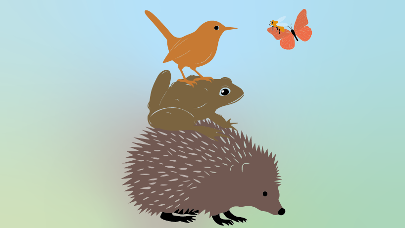 Ausstellung Biodiversität