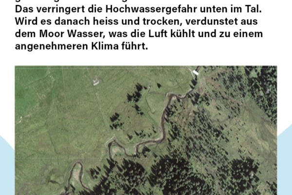 Moorpfad-Glaubenberg Bach